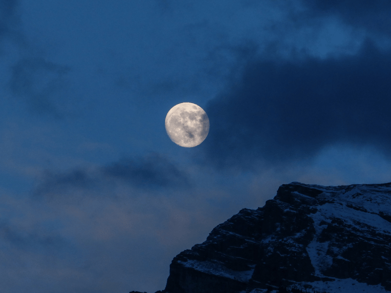Moon Salutations: Reconnecting To Nature & Reclaiming Your Evening