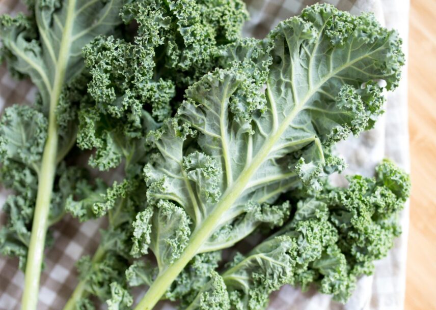 Understanding the New Concerns about Kale